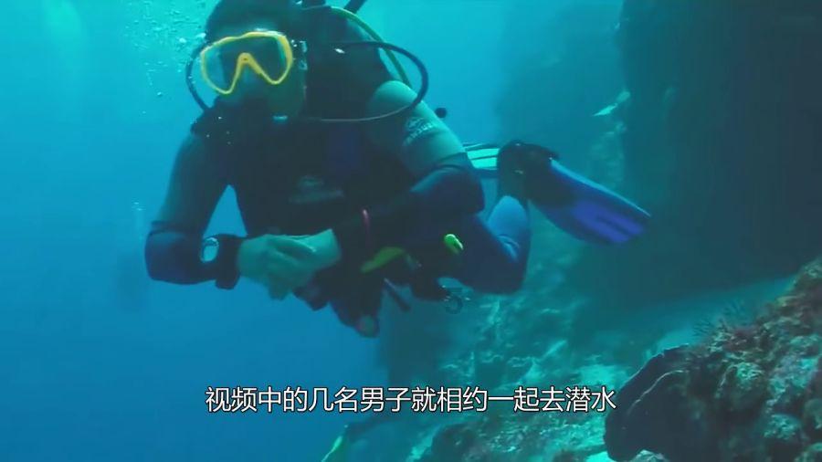 冰火人魔法森林大冒险2