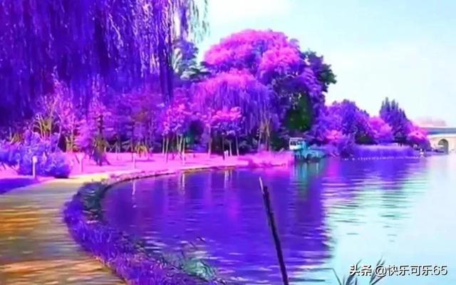 总是 心情不好 低落 失落 怎么办？怎么解决？